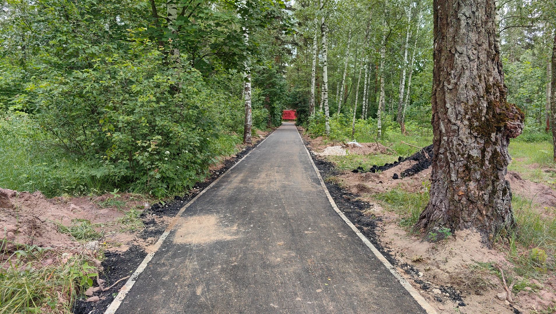 деревня, народная тропа, благоустройство, тротуар, дорожка, щёлково,