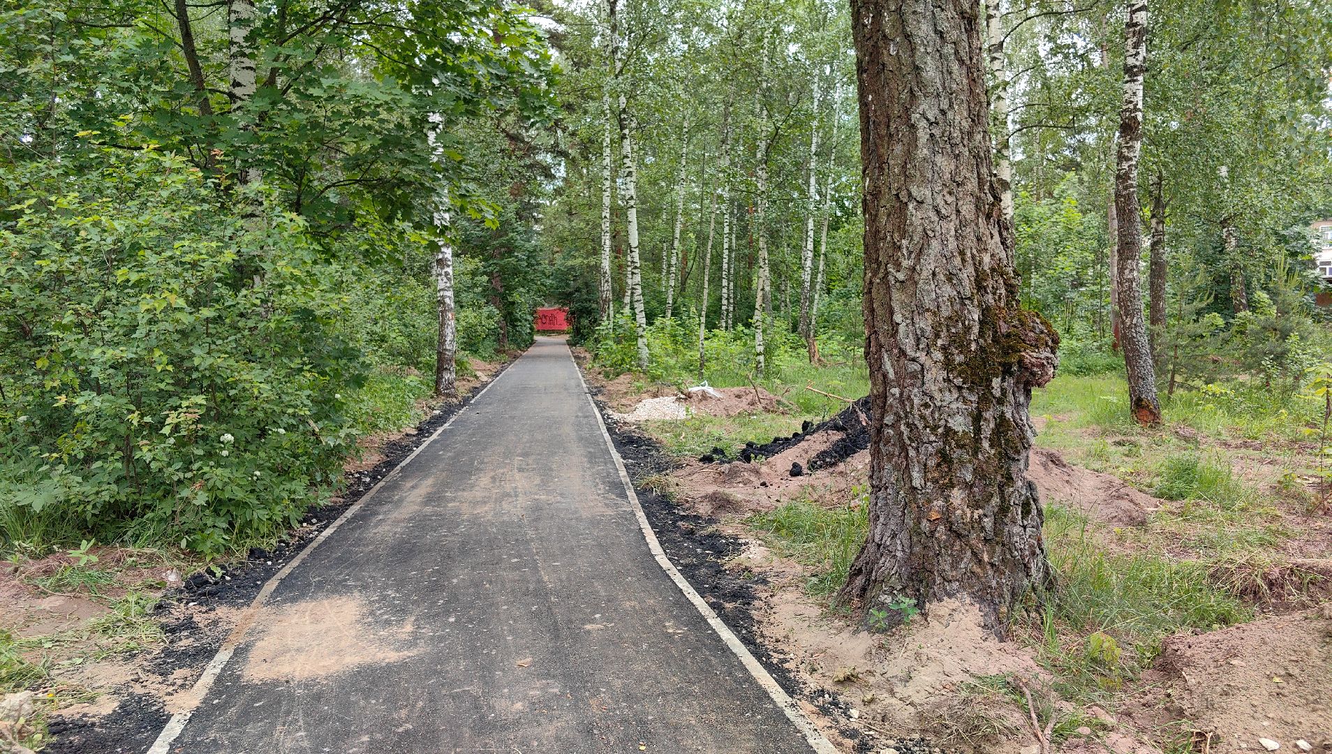 деревня, народная тропа, благоустройство, тротуар, дорожка, щёлково,