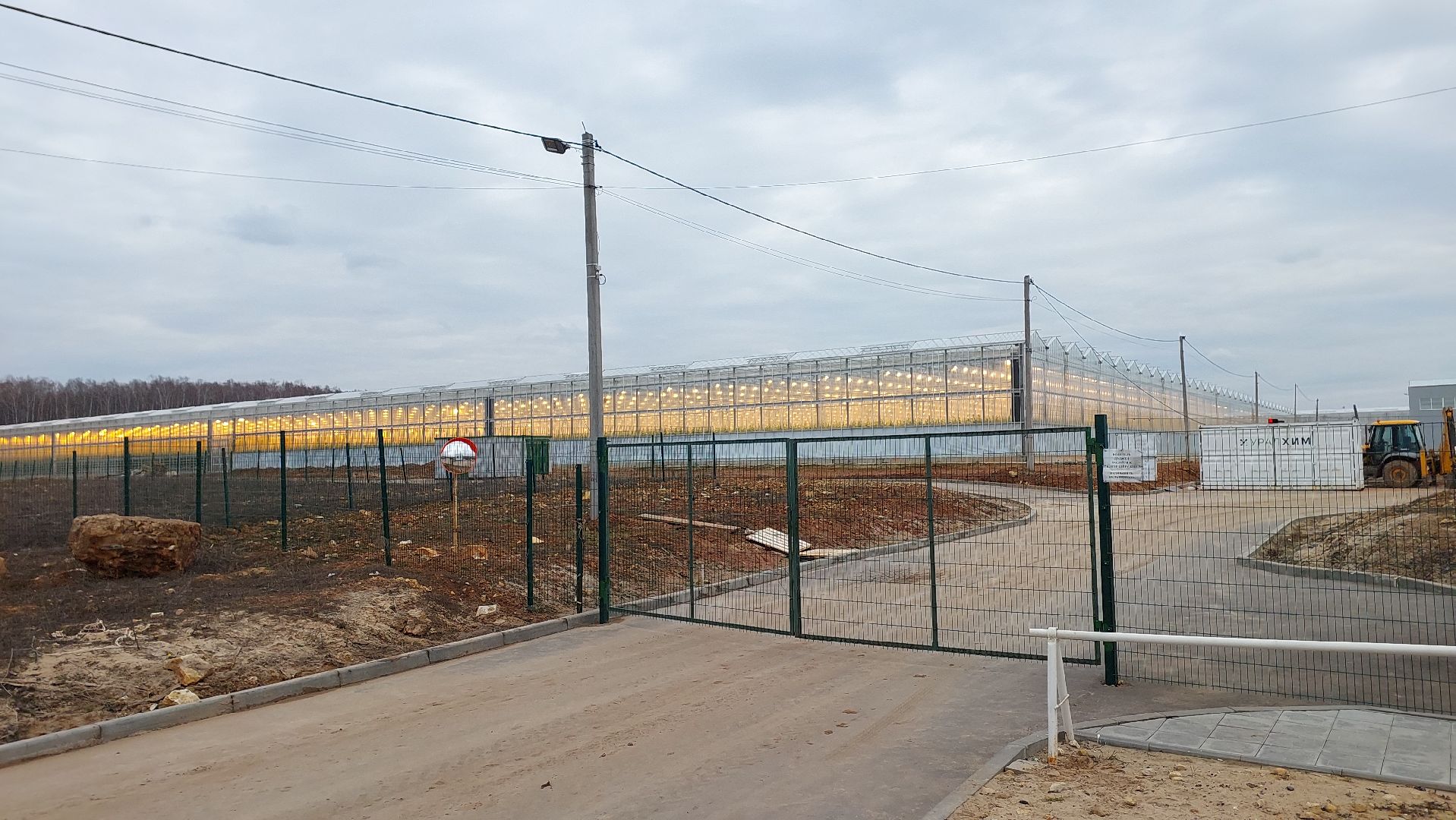 огурцы, перемены, серпухов, первый урожай,