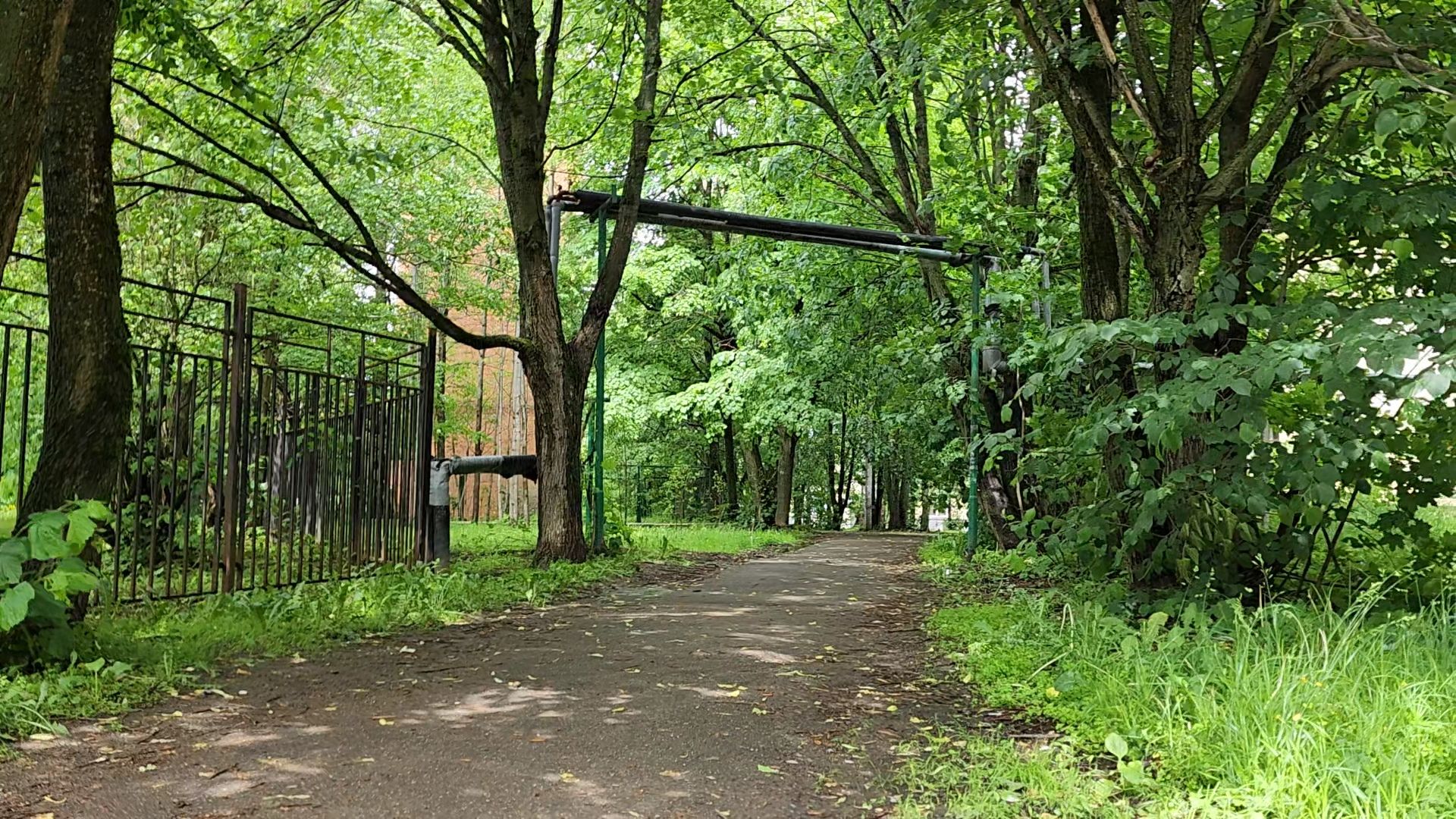 одинцово, пешком, тротуар, пешая дорога, губернатор,