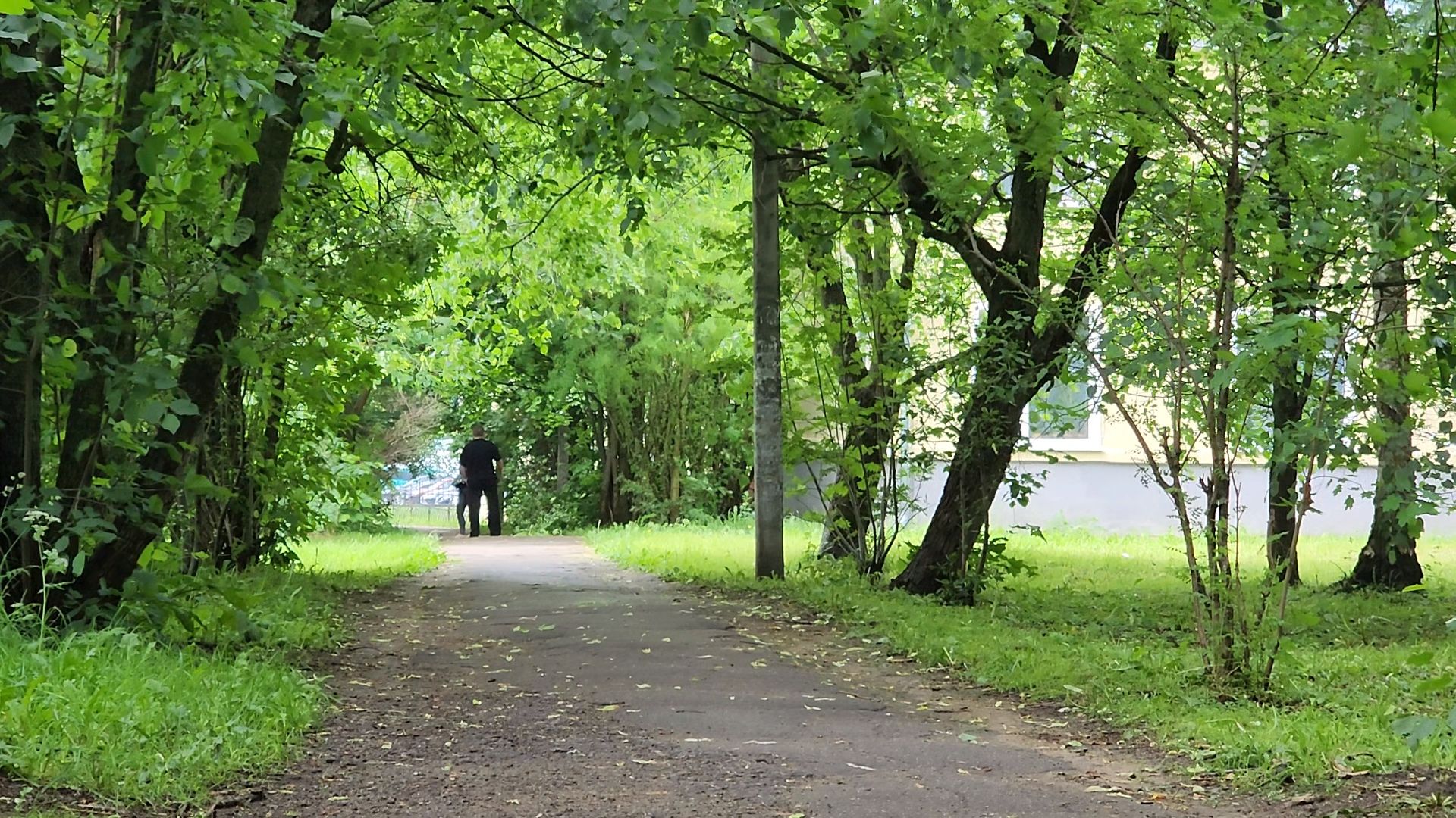 одинцово, пешком, тротуар, пешая дорога, губернатор,