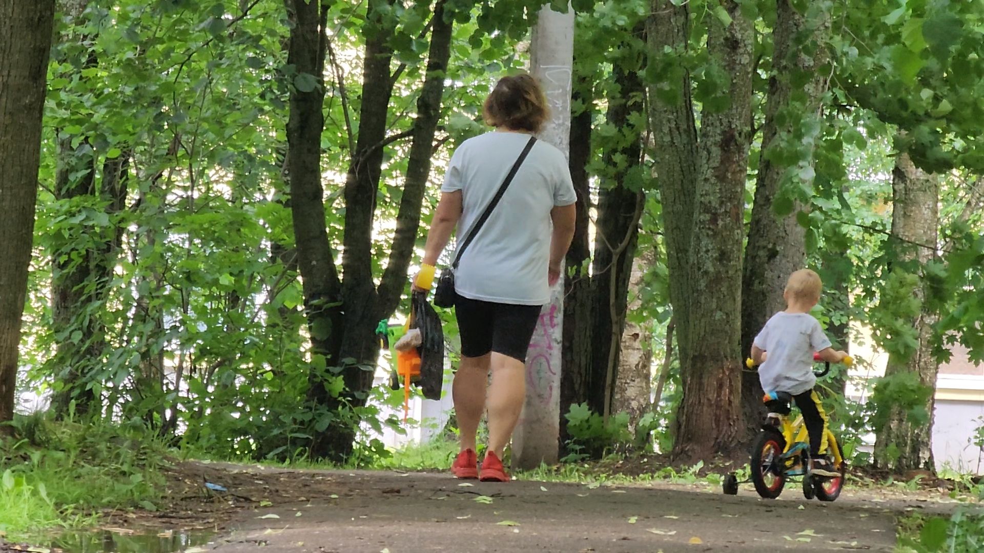 одинцово, пешком, тротуар, пешая дорога, губернатор,