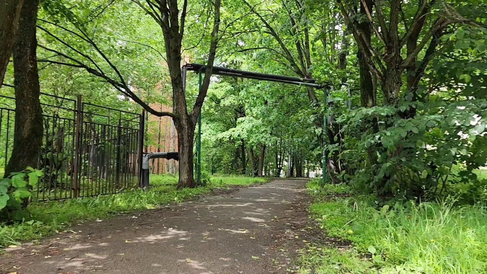 одинцово, пешком, тротуар, пешая дорога, губернатор,