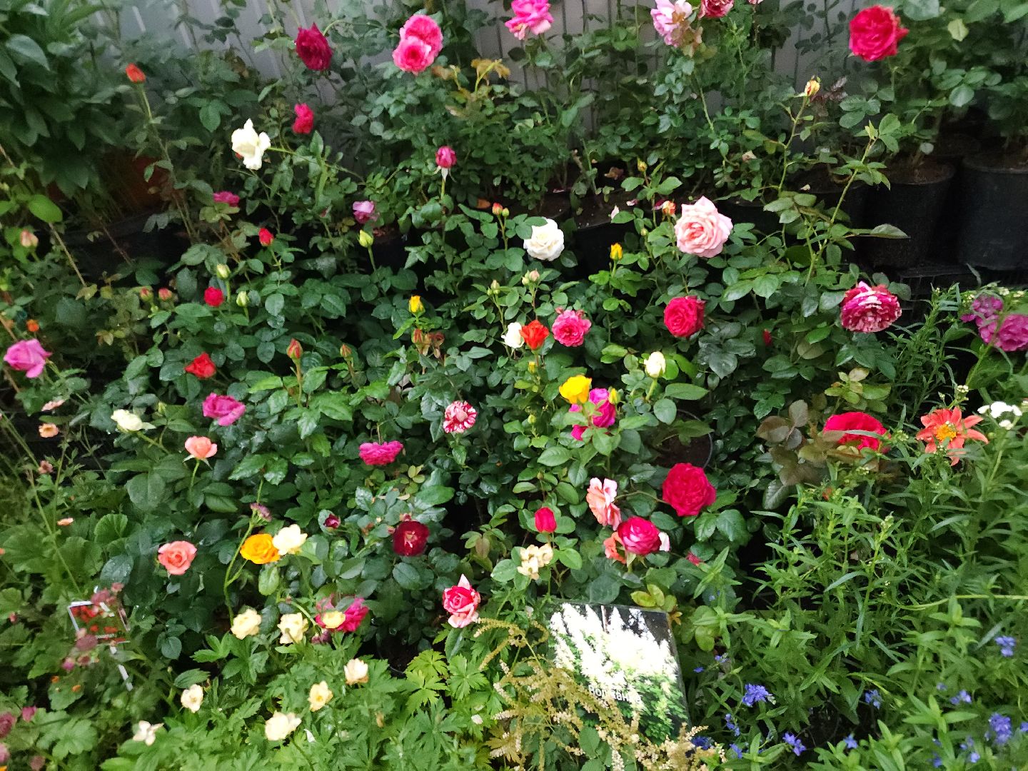 Звенигород, Экономика, Ярмарки,