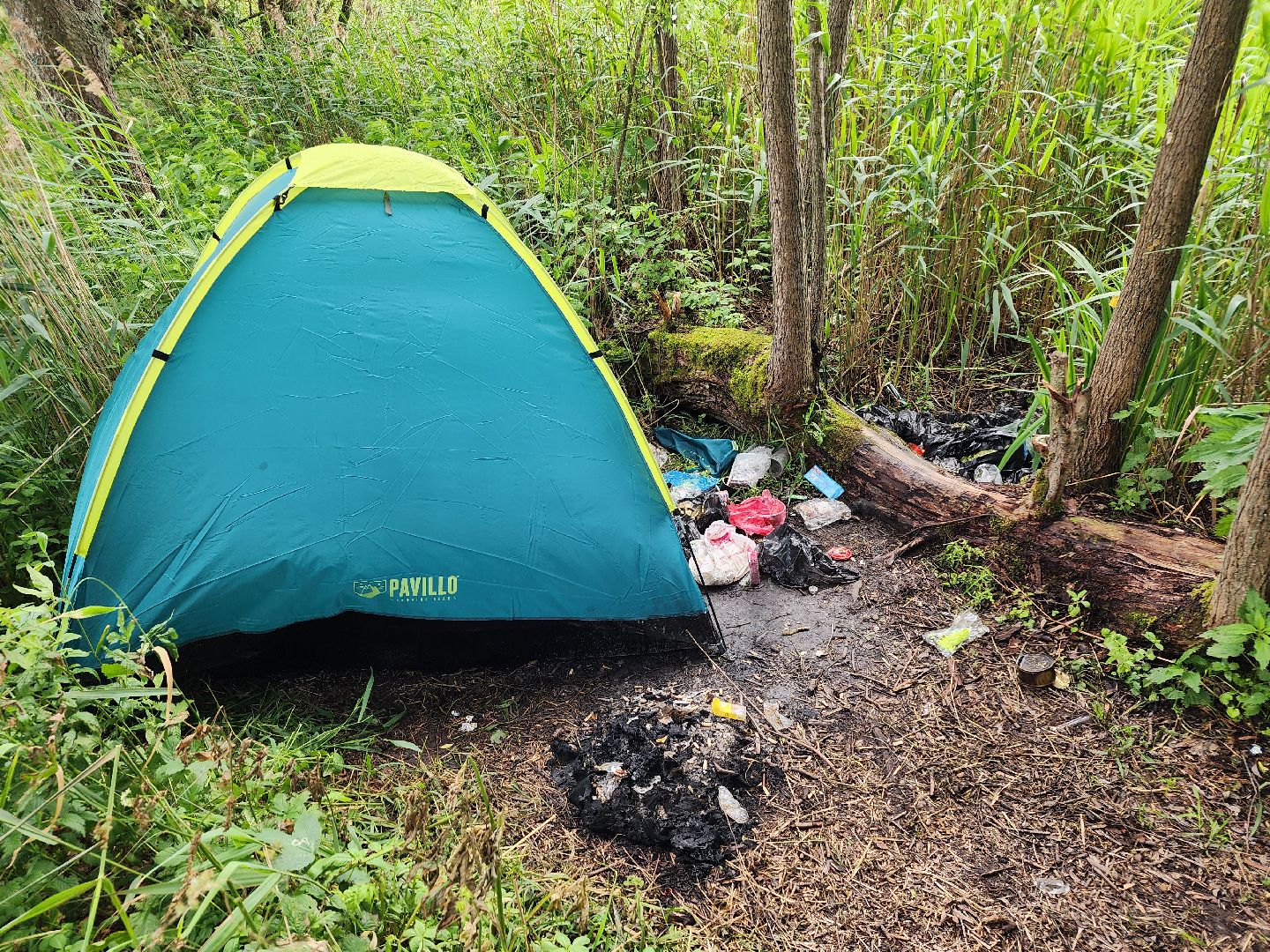 волоколамск, Теряево, экология, акция,