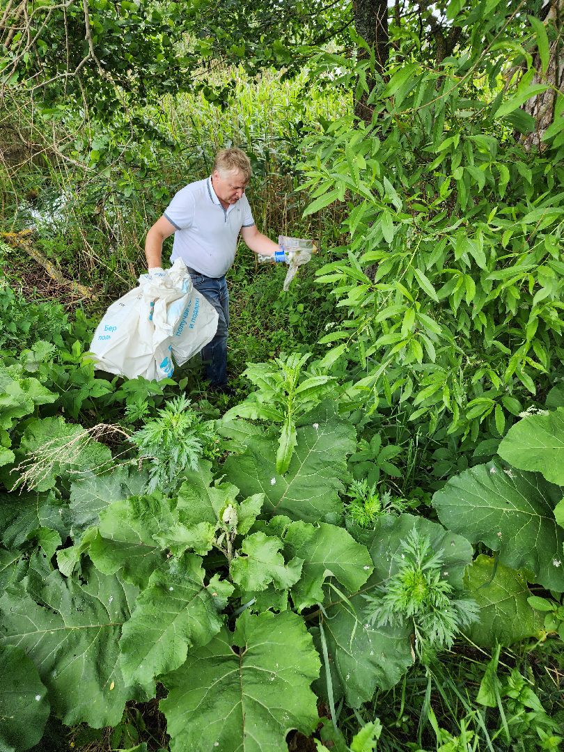 волоколамск, Теряево, экология, акция,