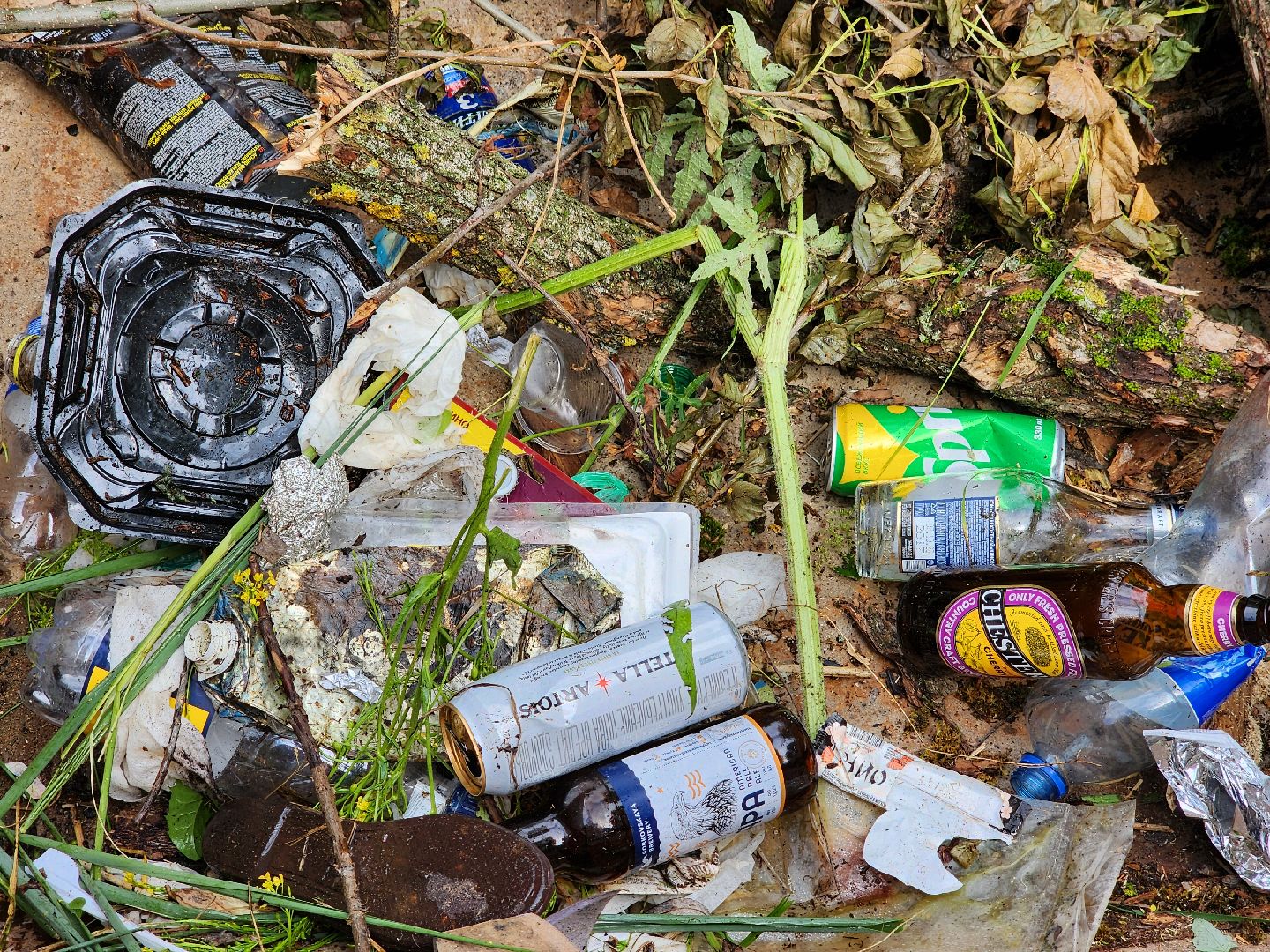 волоколамск, Теряево, экология, акция,