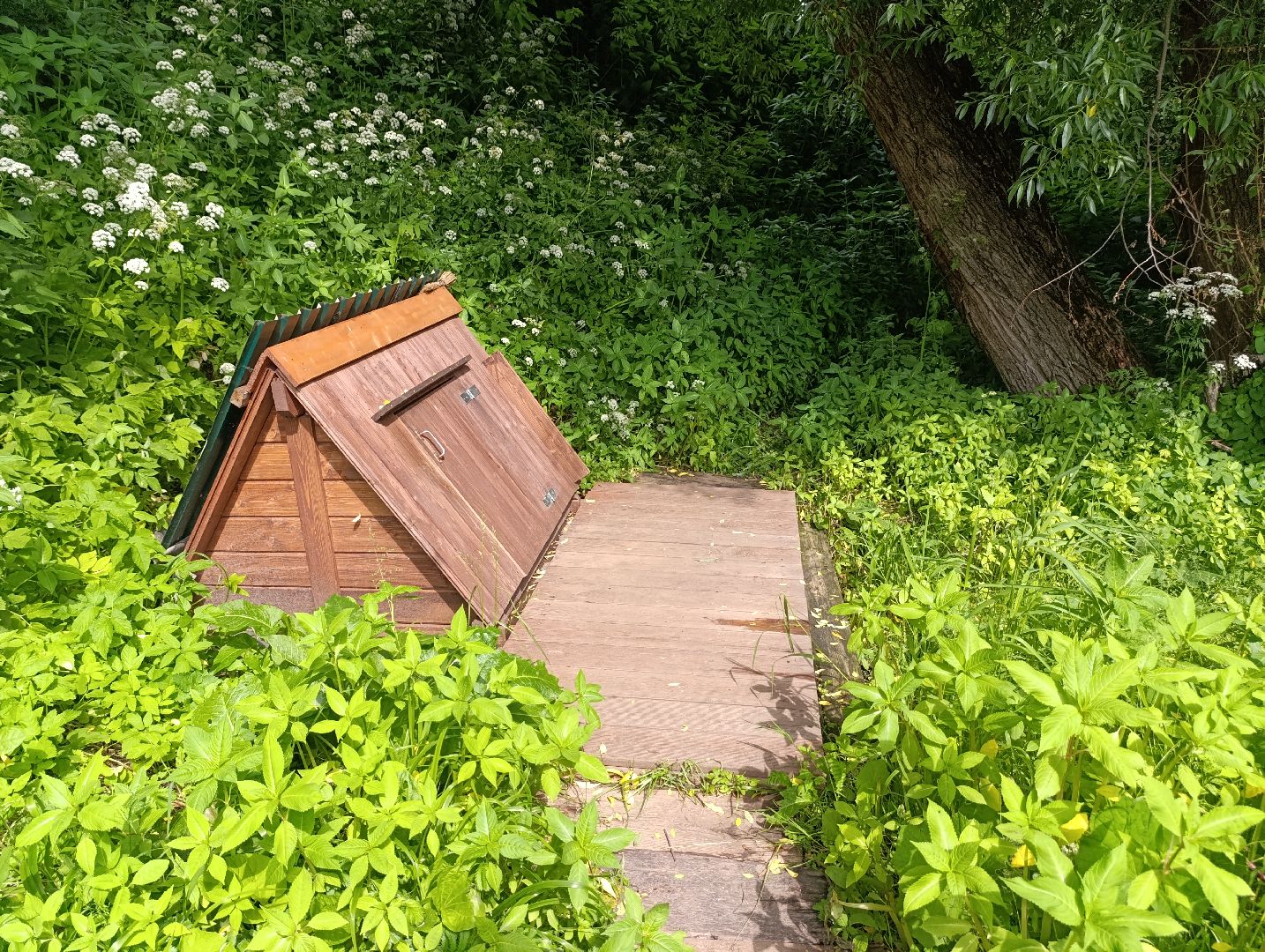 Бронницы, мбу благоустройство, ремонт лестницы, Лестница к колодцу, Выездная администрация,