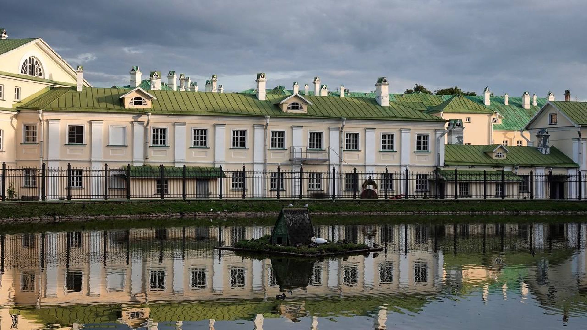 Сергиев Посад, Сергиево-Посадский городской округ, Лебеди, Потомство, Природа, Красота, Эксклюзив, Общество, Птицы,