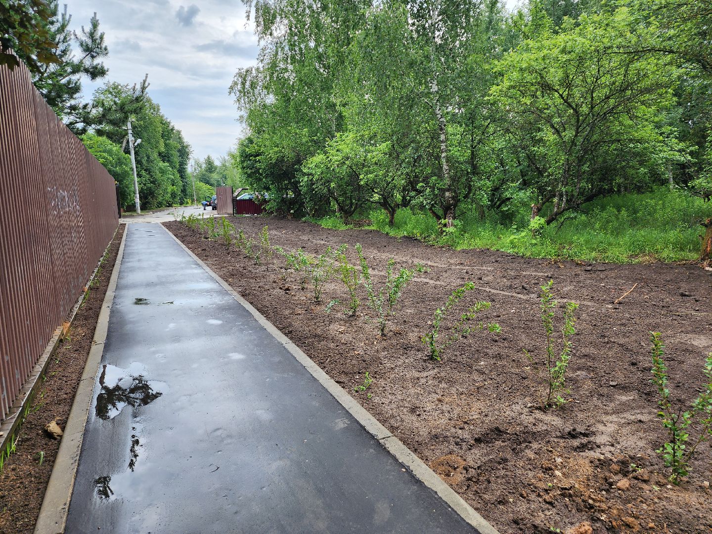 благоустройство, тропа жизни, пешеходная дорожка, деревня Спасское, расторгуево, ленинский округ, лго, тропинка,