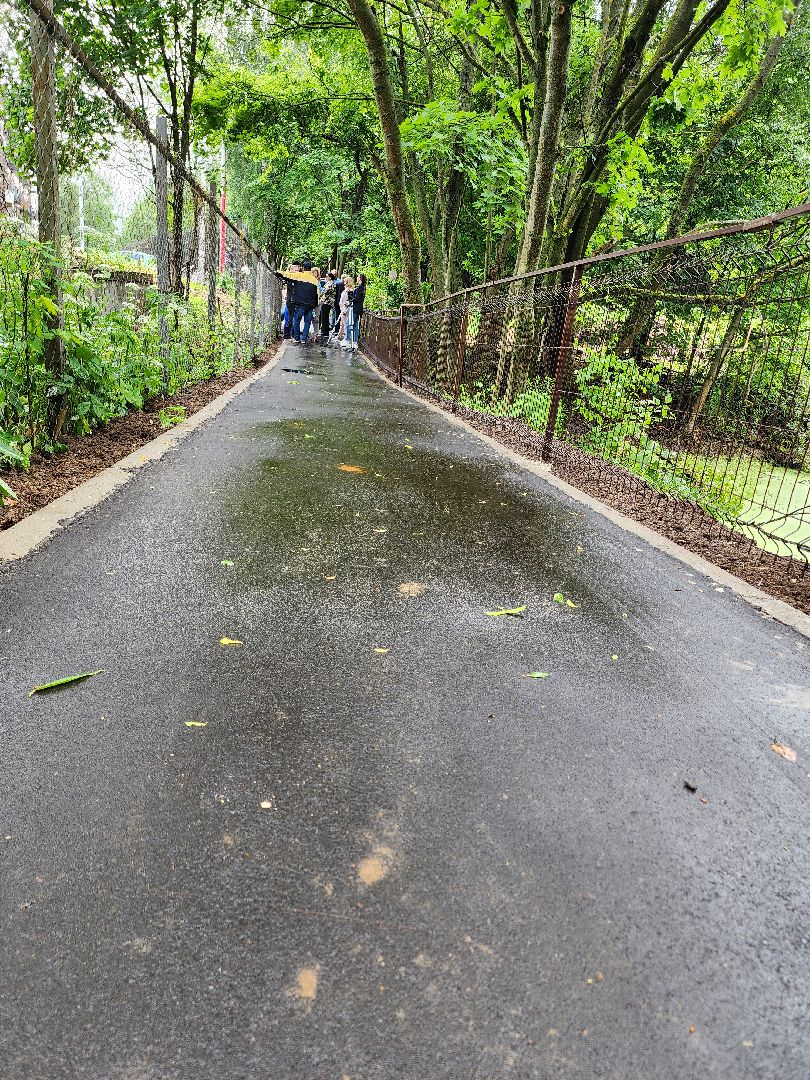 благоустройство, тропа жизни, пешеходная дорожка, деревня Спасское, расторгуево, ленинский округ, лго, тропинка,
