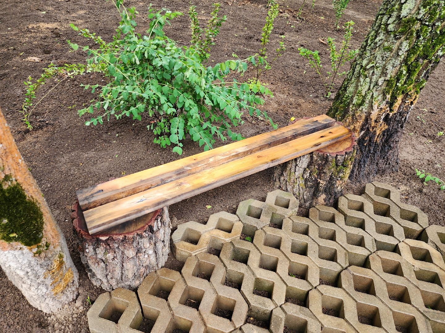 благоустройство, тропа жизни, пешеходная дорожка, деревня Спасское, расторгуево, ленинский округ, лго, тропинка,