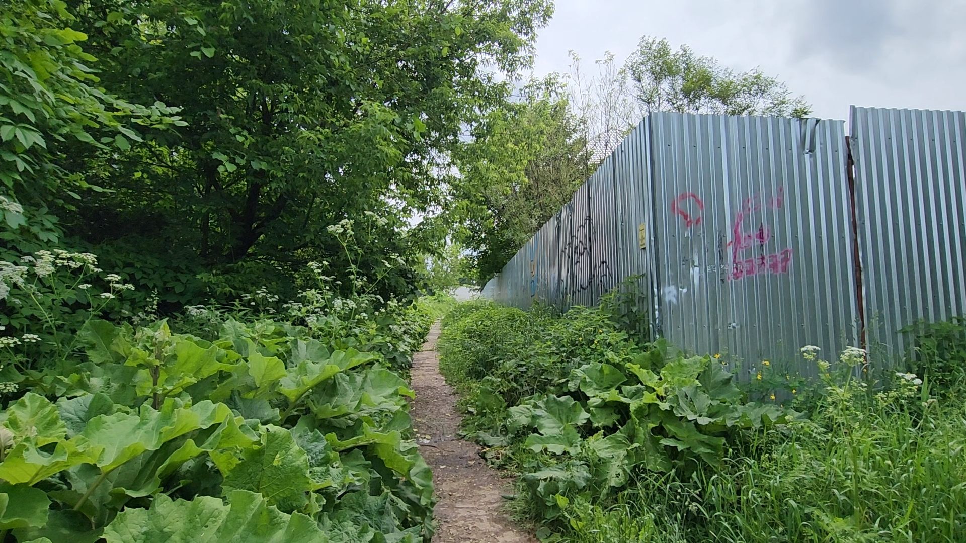 благоустройство, пешком, кубинка, одинцово, народная тропа,