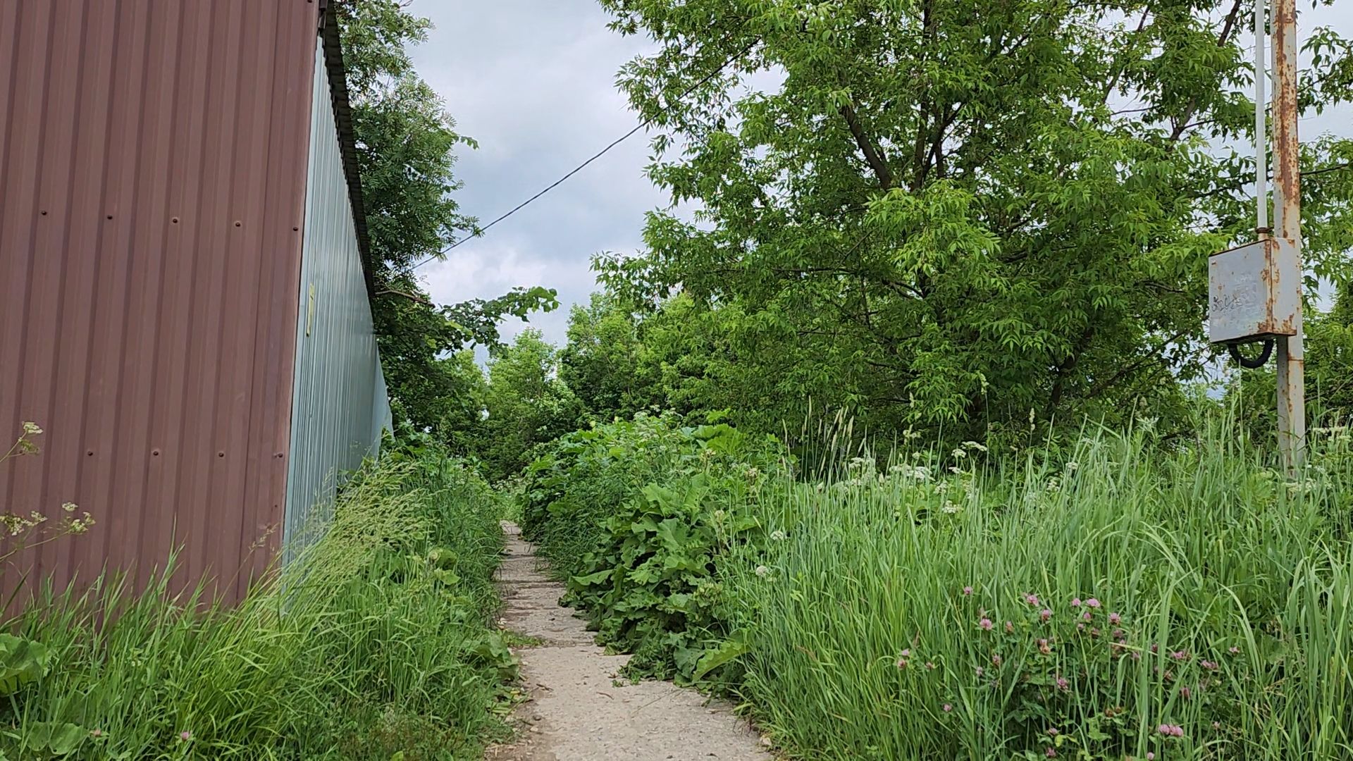 благоустройство, пешком, кубинка, одинцово, народная тропа,
