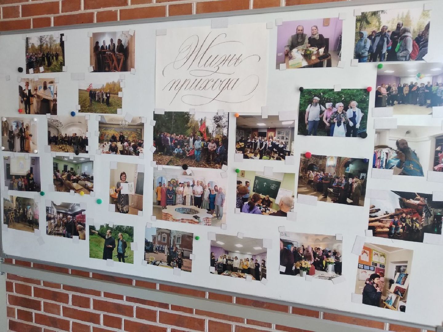 Дмитров, Центр благотворительности «Из добрых рук», Министерство социального развития МО