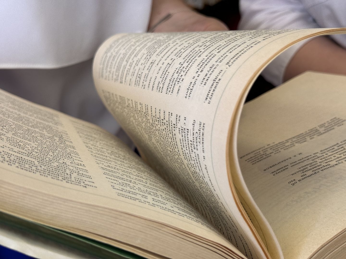 Одинцово, Стобалльница, ЕГЭ, 100 баллов по литературе,