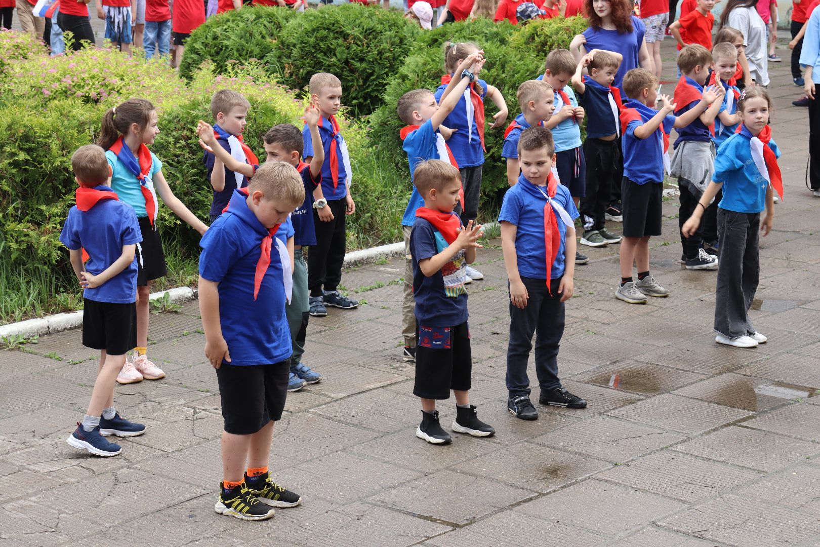 гимназия 5, дзержинский, летний лагерь Солнышко,