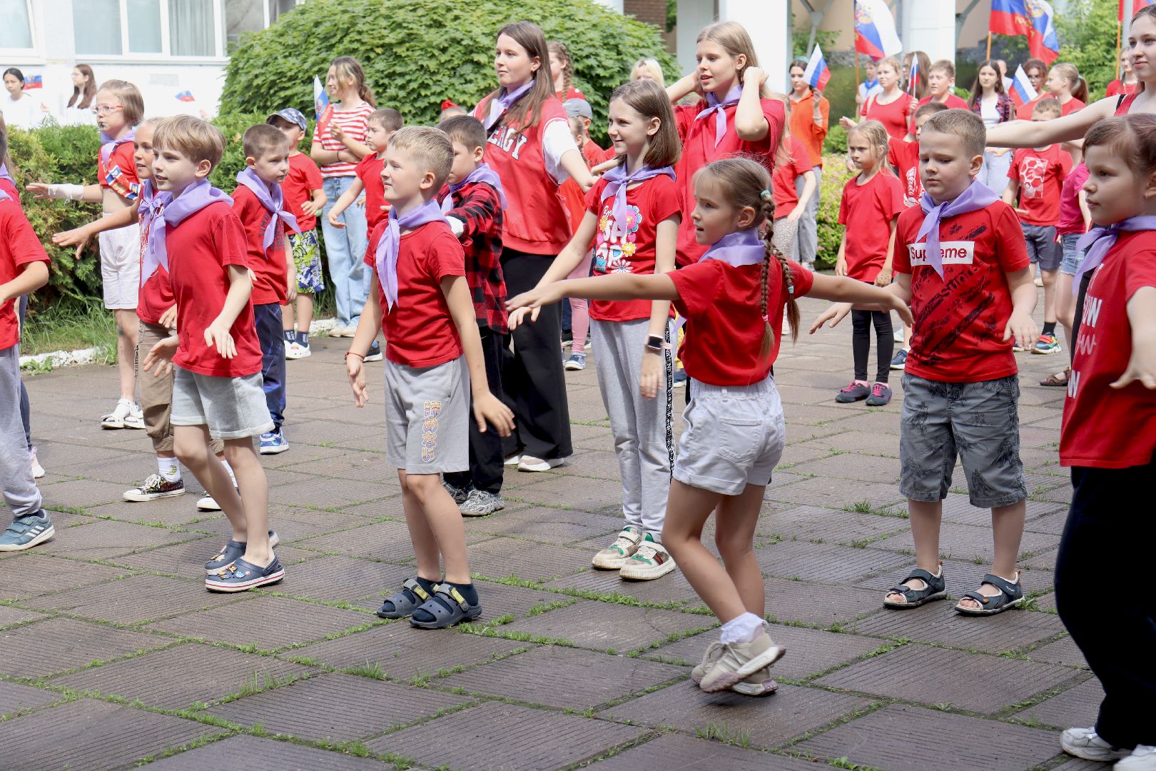 гимназия 5, дзержинский, летний лагерь Солнышко,