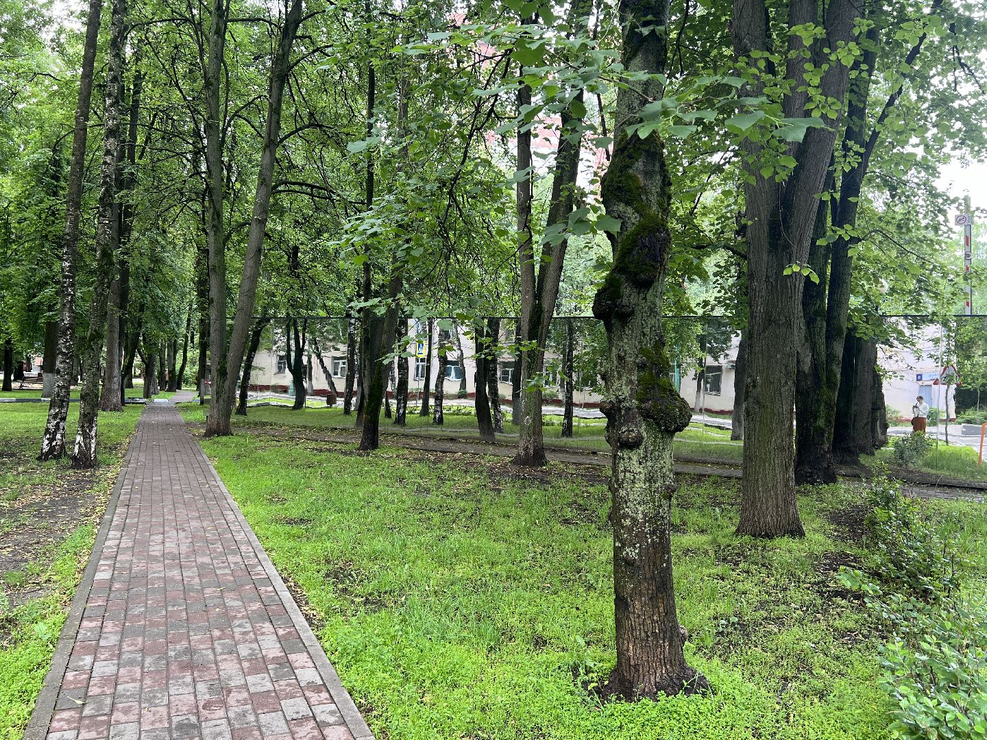 химки, благоустройство, здание администрации, забор,