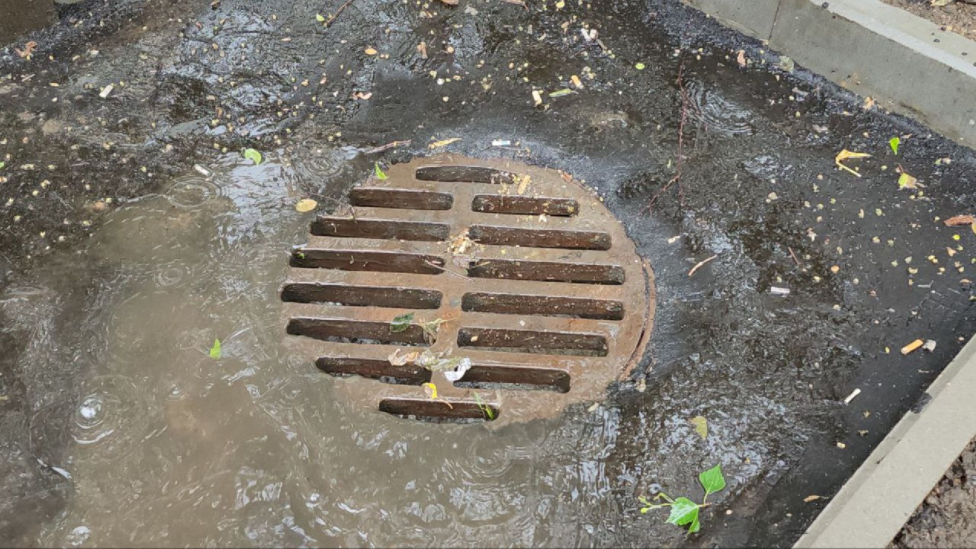 люберцы, экодренажная система, впервые в Люберцах, ливневая канализация,