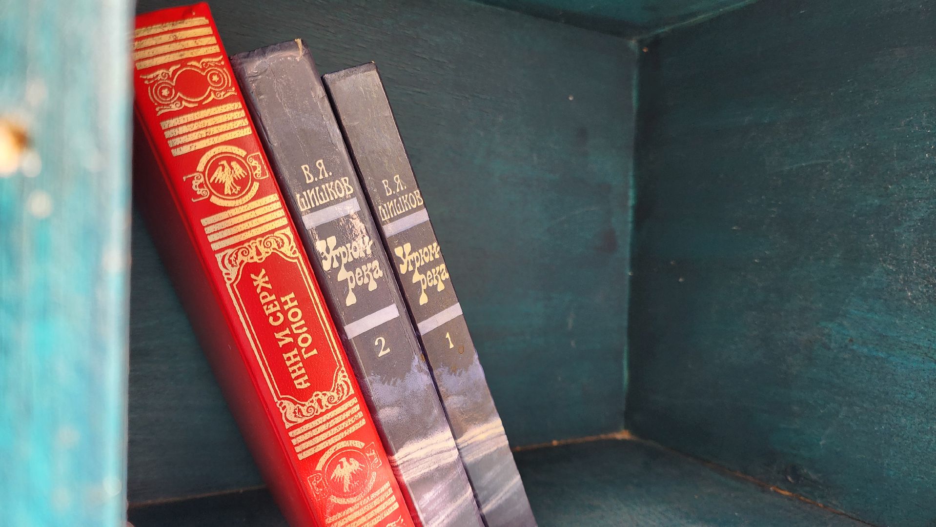 Подольск, Парк Талалихина, буккроссинг, книги, Чтение,