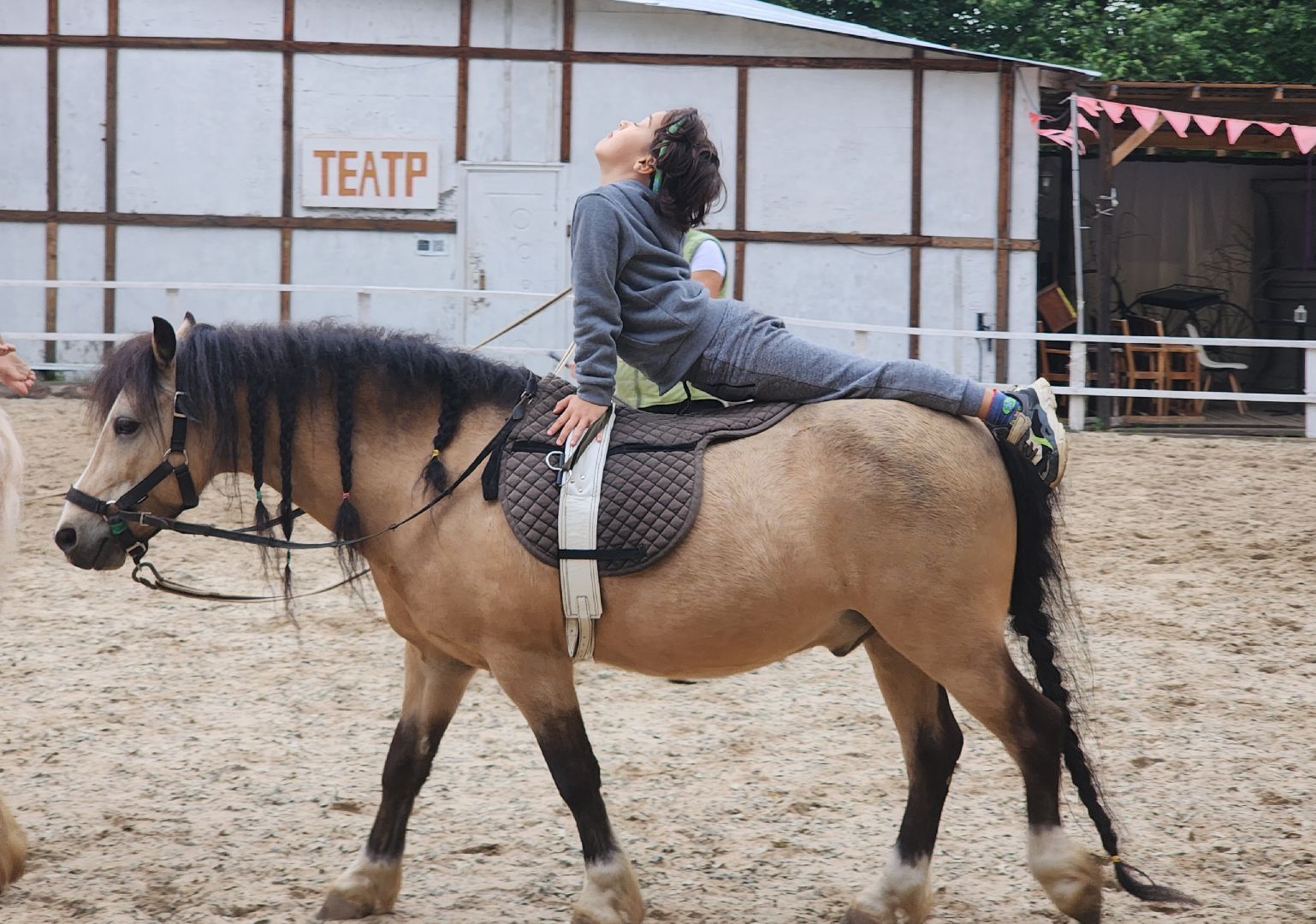 Звенигород, Туризм, Культура, Конные прогулки,