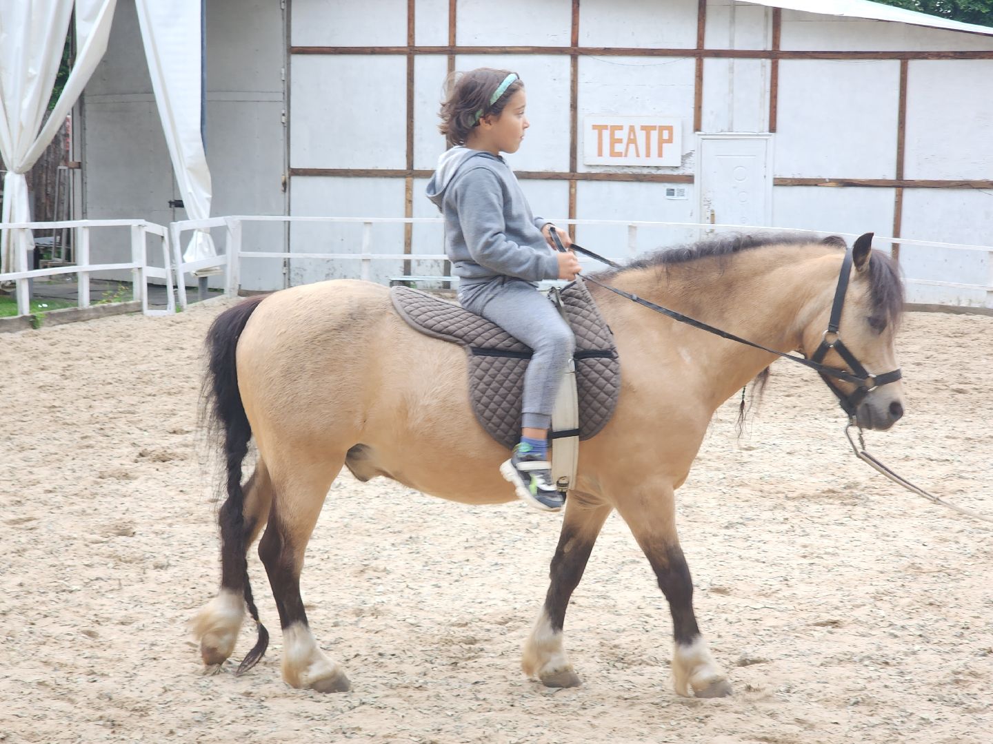 Звенигород, Туризм, Культура, Конные прогулки,