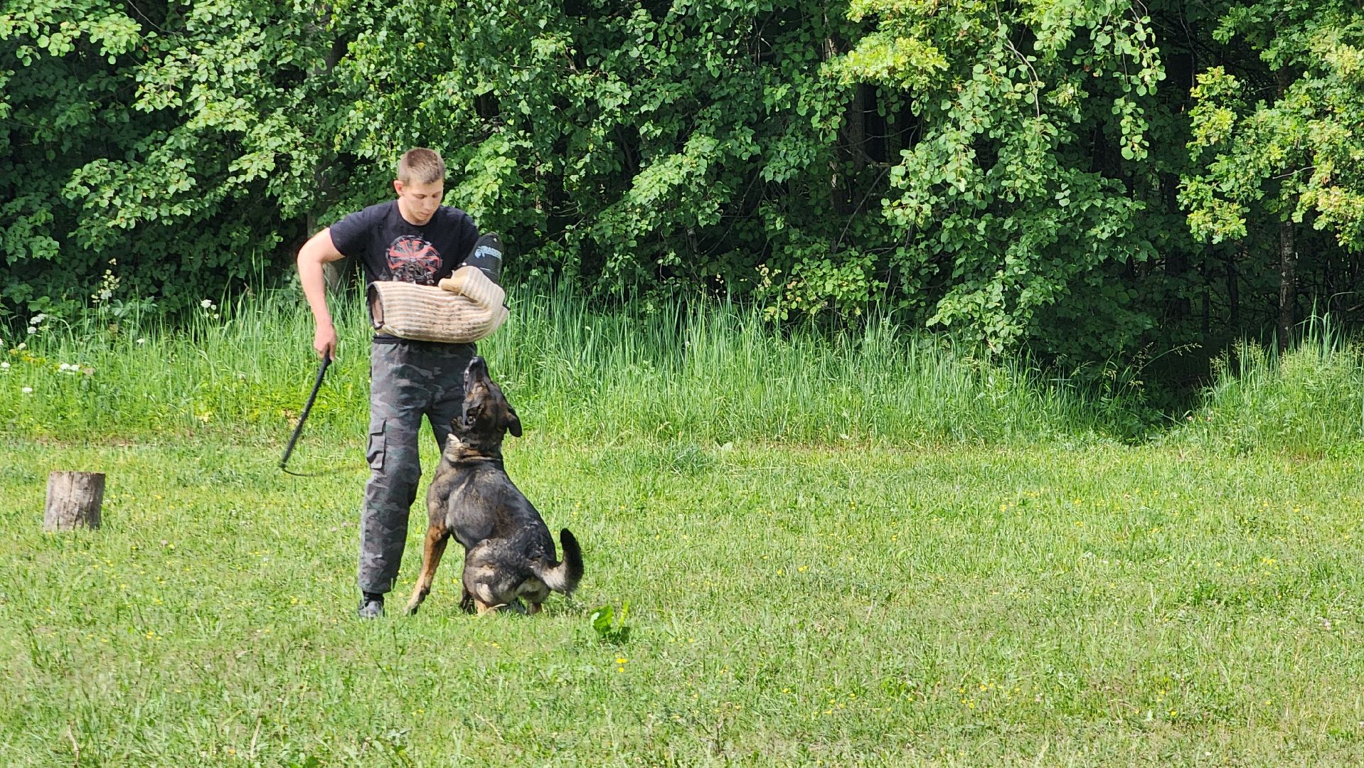 Чемпионат, Чемпионы, профессии, Протвино, Кинологи,