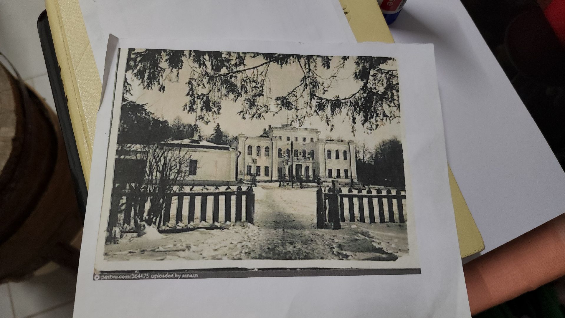 кулинария, мастер класс, дом вкусных историй, руза, каникулы в Рузе, рузский городской округ, московская область,