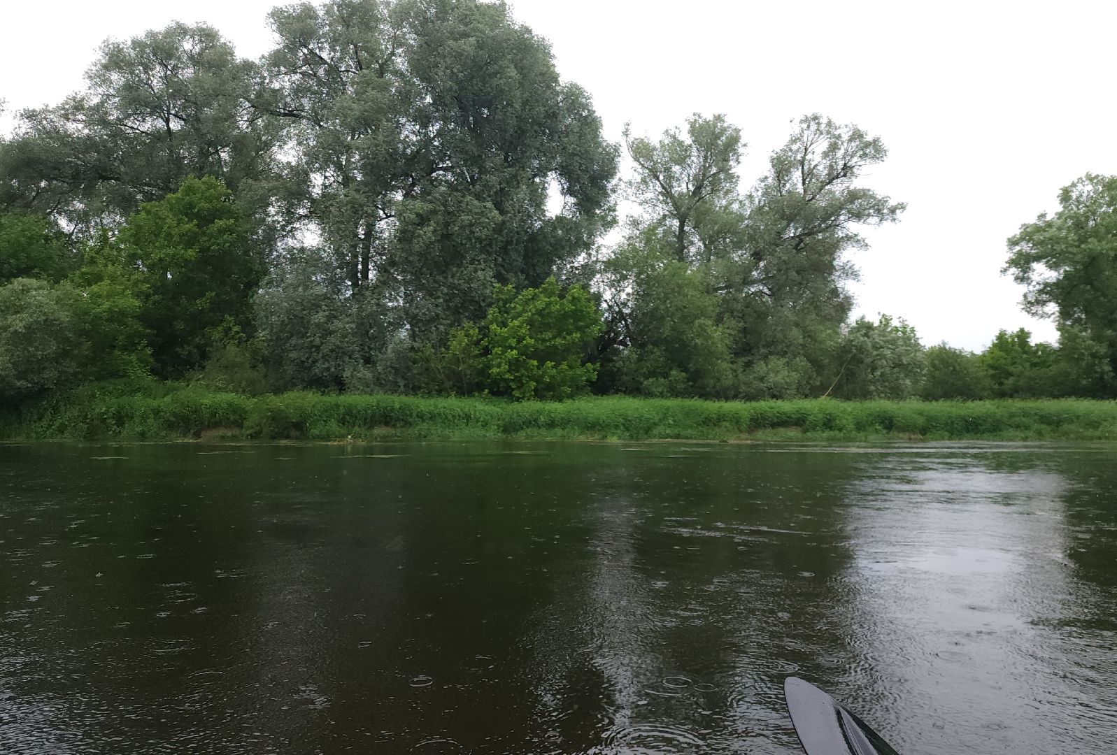 Звенигород, Туризм, Водные путешествия,
