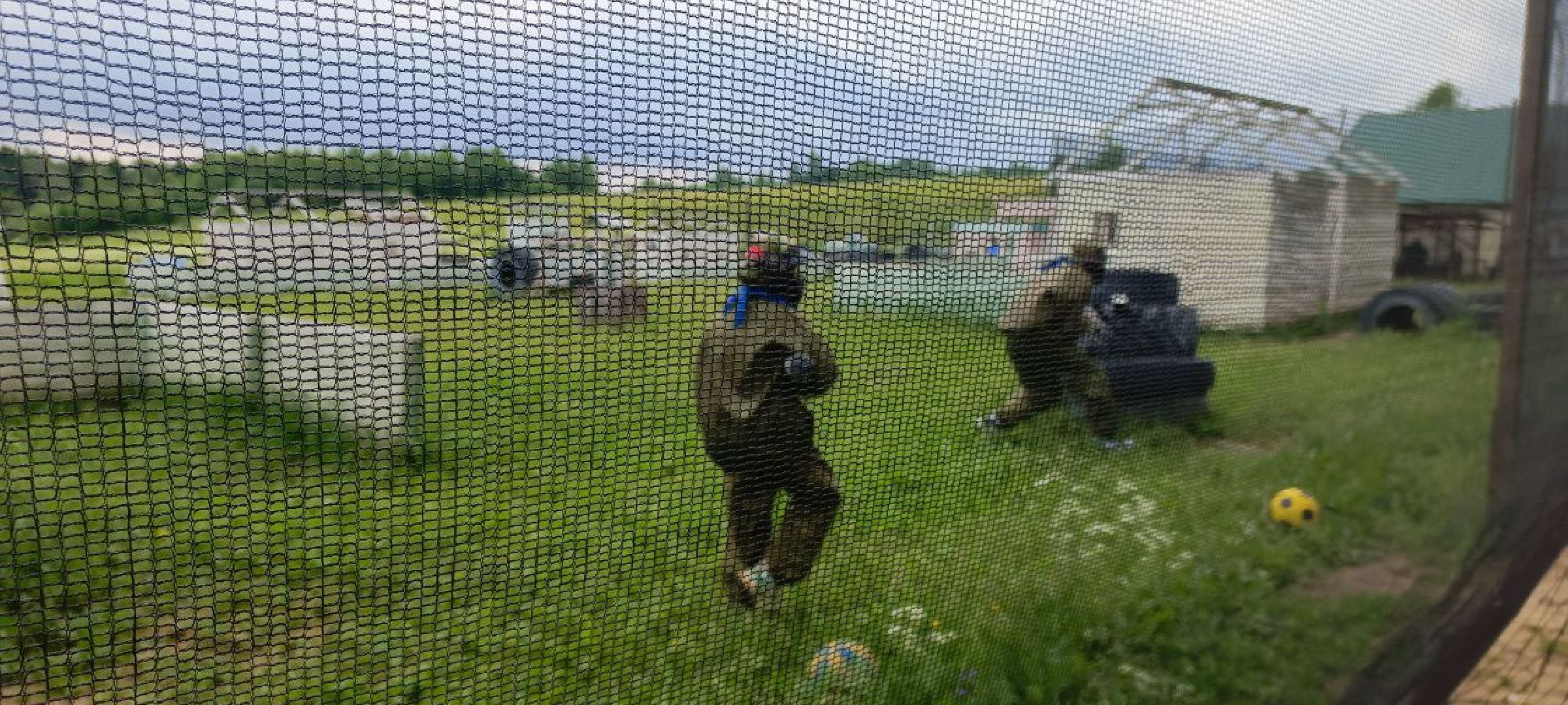 Дмитров, День России,