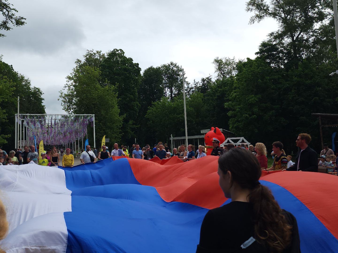 день россии, флаг россии, флешмоб,