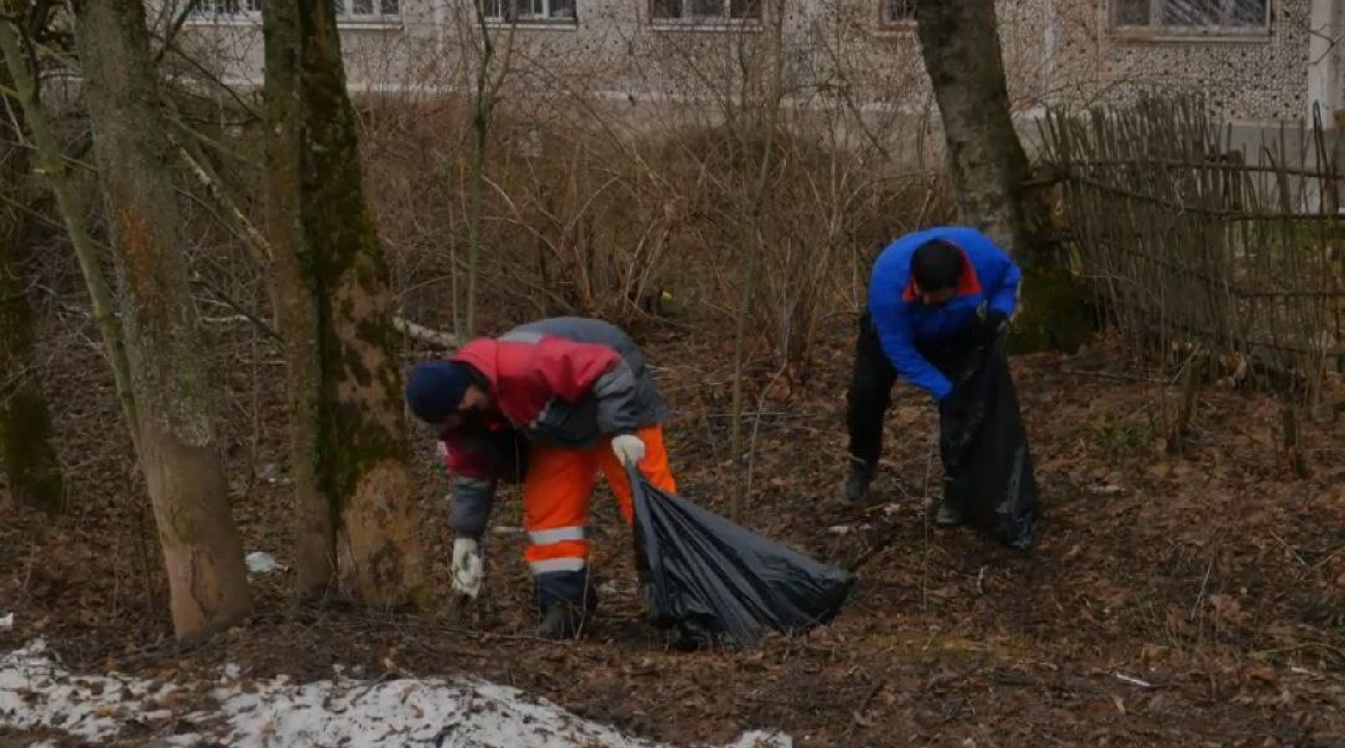 субботники, чистота