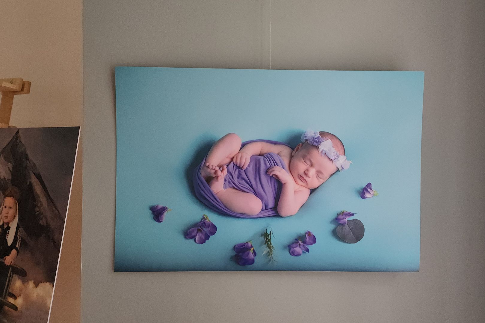 красногорск, день россии, фотограф, фотовыставка, знаменское-губайлово,