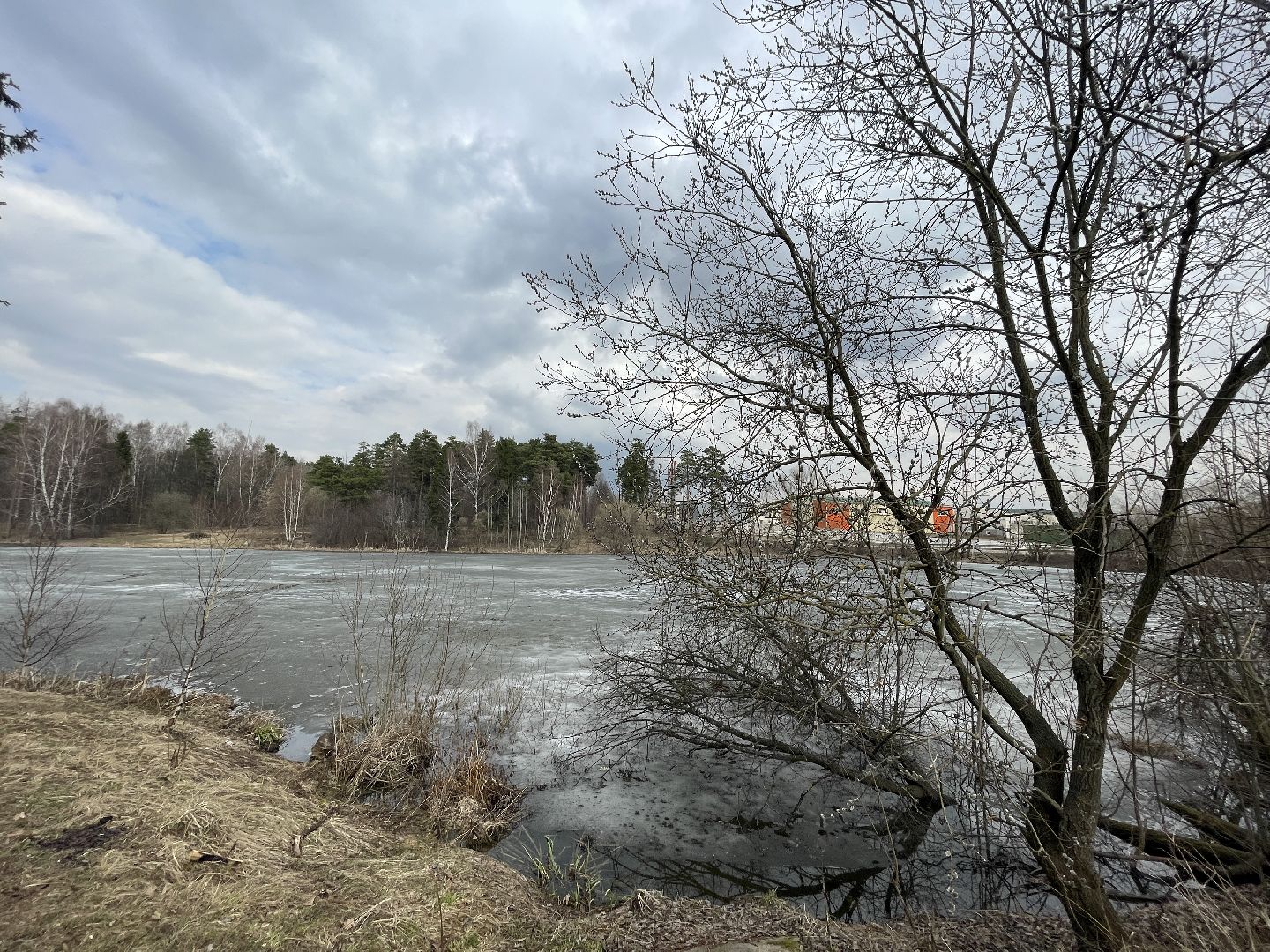 Одинцово, Захарово, экология, пруд, очистка, история, Пушкин, Ганнибал, рыбалка, купание, водоём,