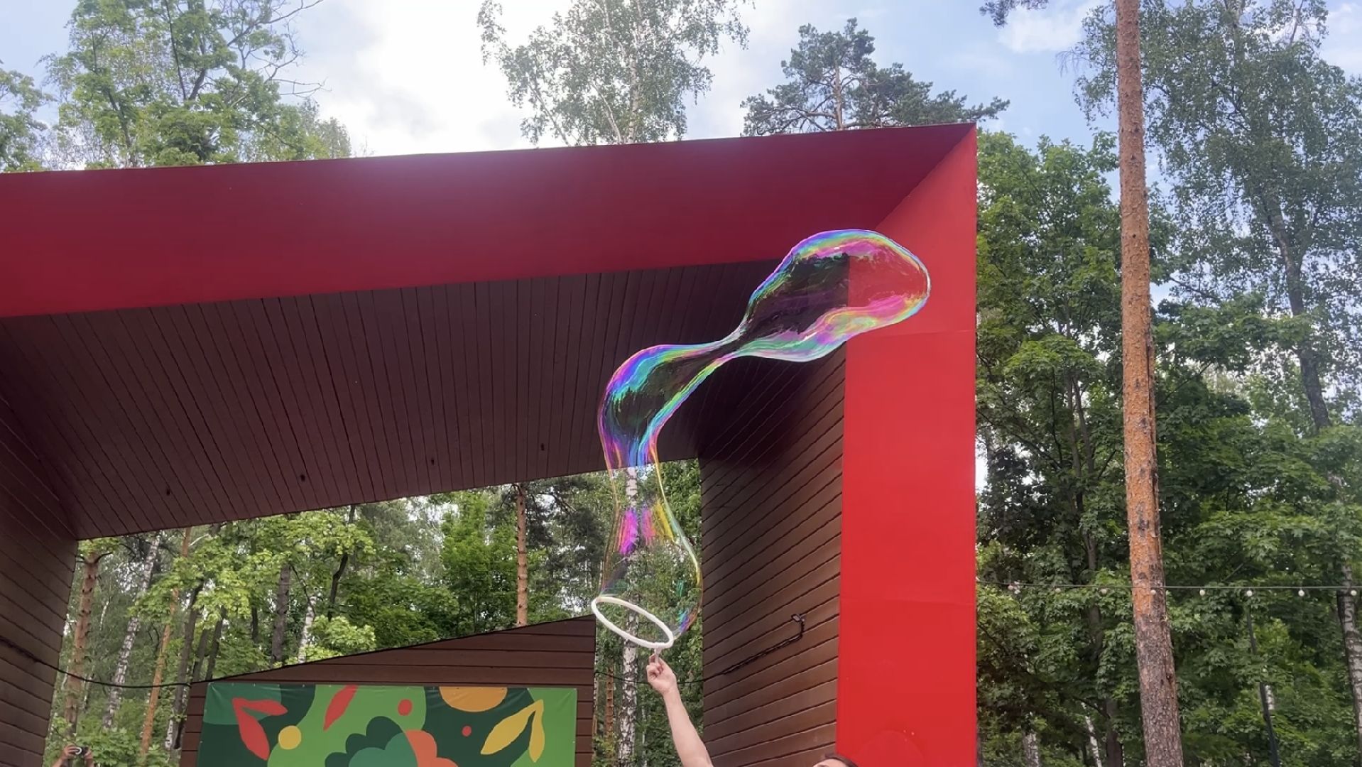 парк, парк пехорка, парки балашихи, концерт, праздник, праздничный концерт, день россии, день россии 2024,