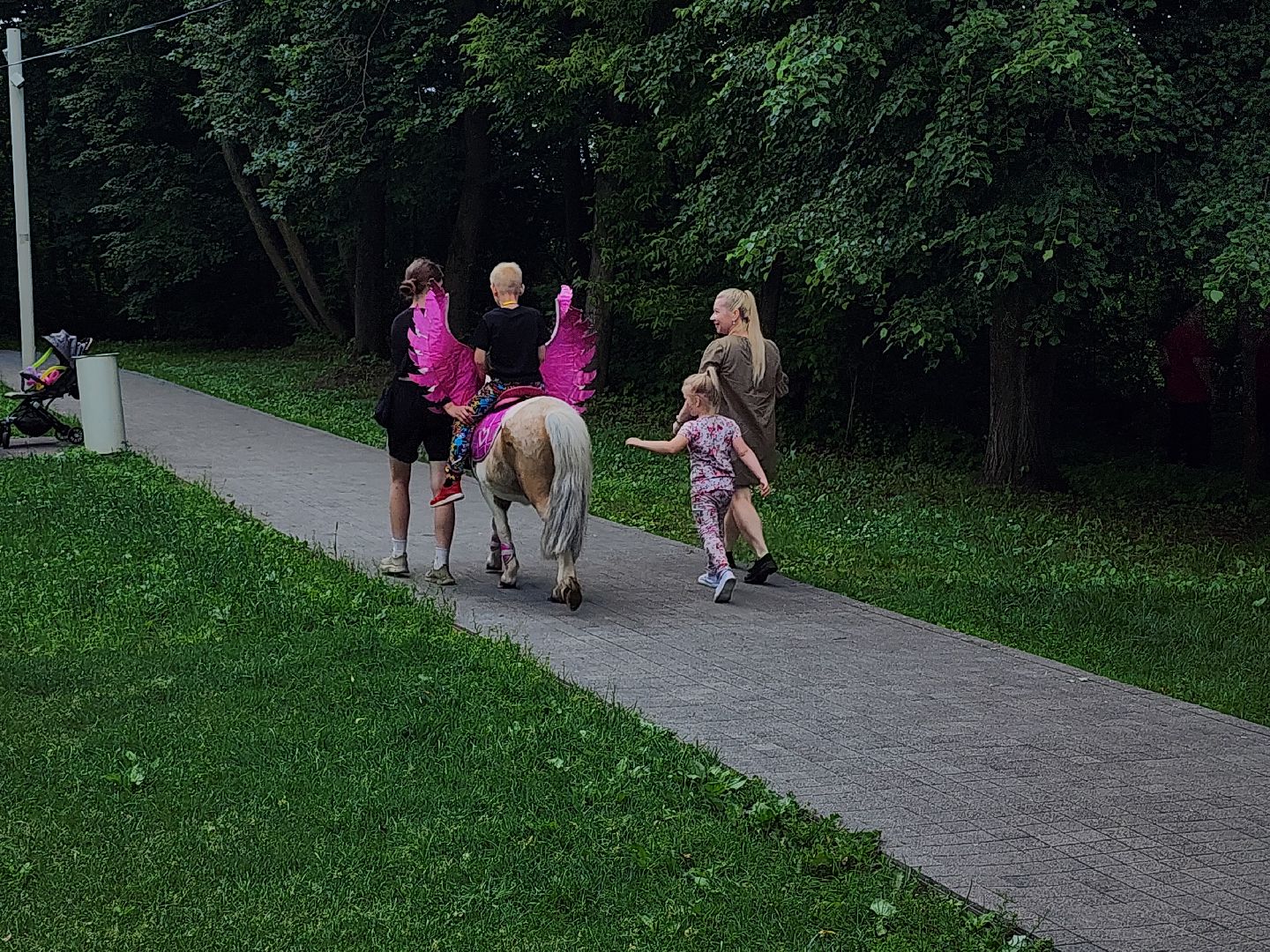 день россии, день города, день рождения, праздник,