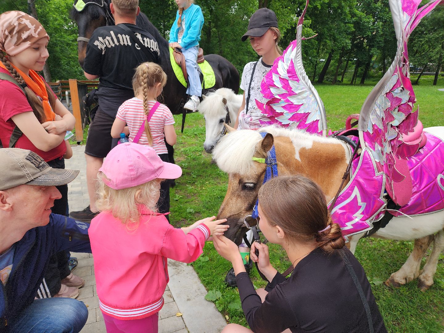 день россии, день города, день рождения, праздник,