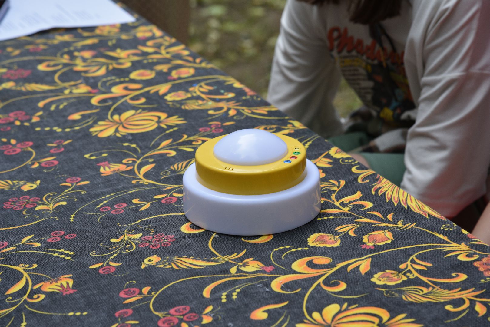 лотошино, лотошинский парк, день россии, лотошинская библиотека, парки подмосковья,