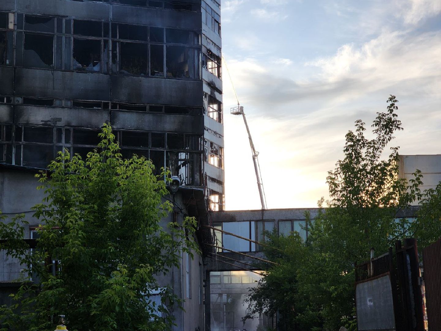 андрей воробьёв, фрязино, пожары, мчс,