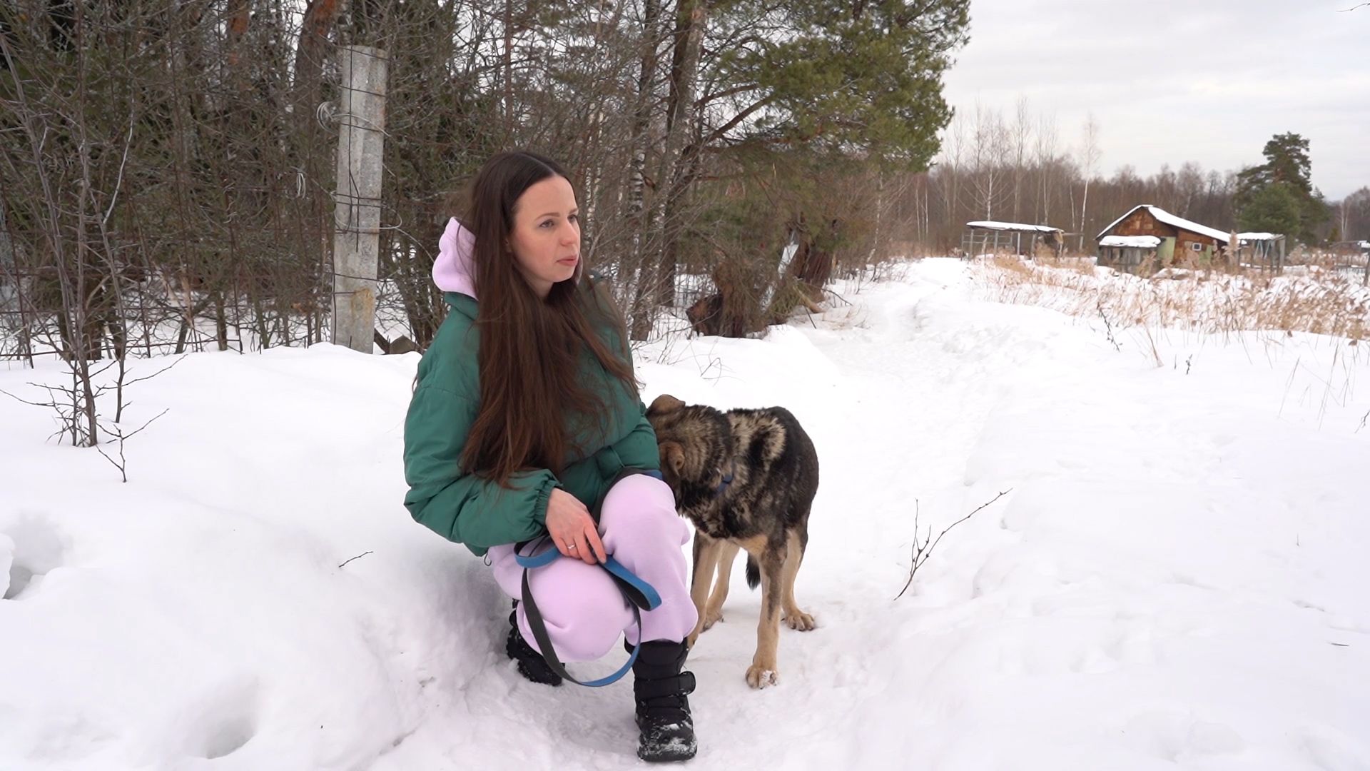 Брошенные животные, Дядя Федор, милосердие, помощь, Орехово-Зуево, люди