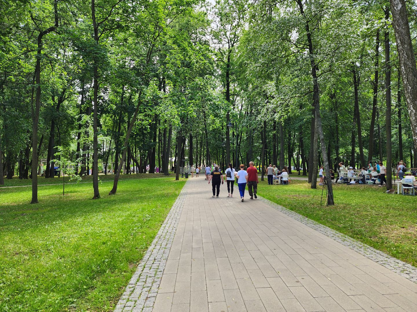 воскресенск, день города, парк кривякино,