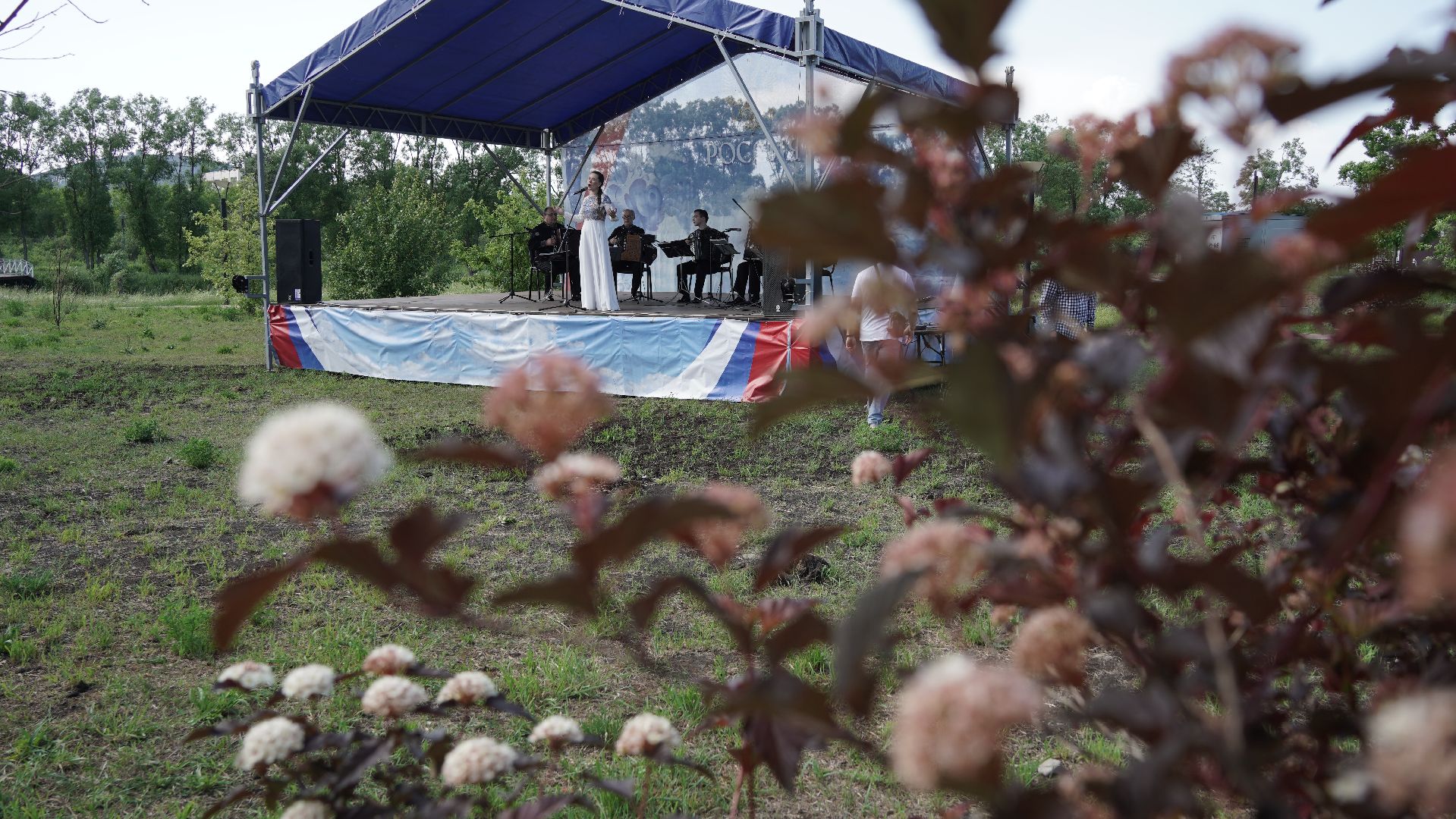 День России, праздник, парк Крестов брод, ДК Косякова, Рошаль,