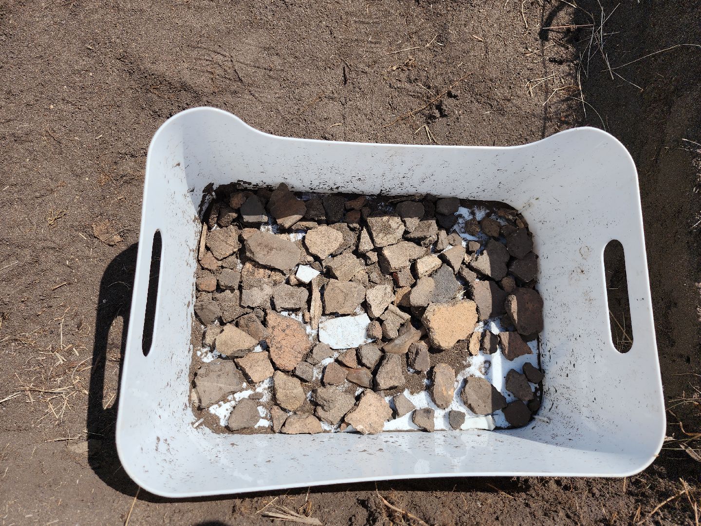 серпухов, подмосковье, зиброво, археологи, раскопки, дети,