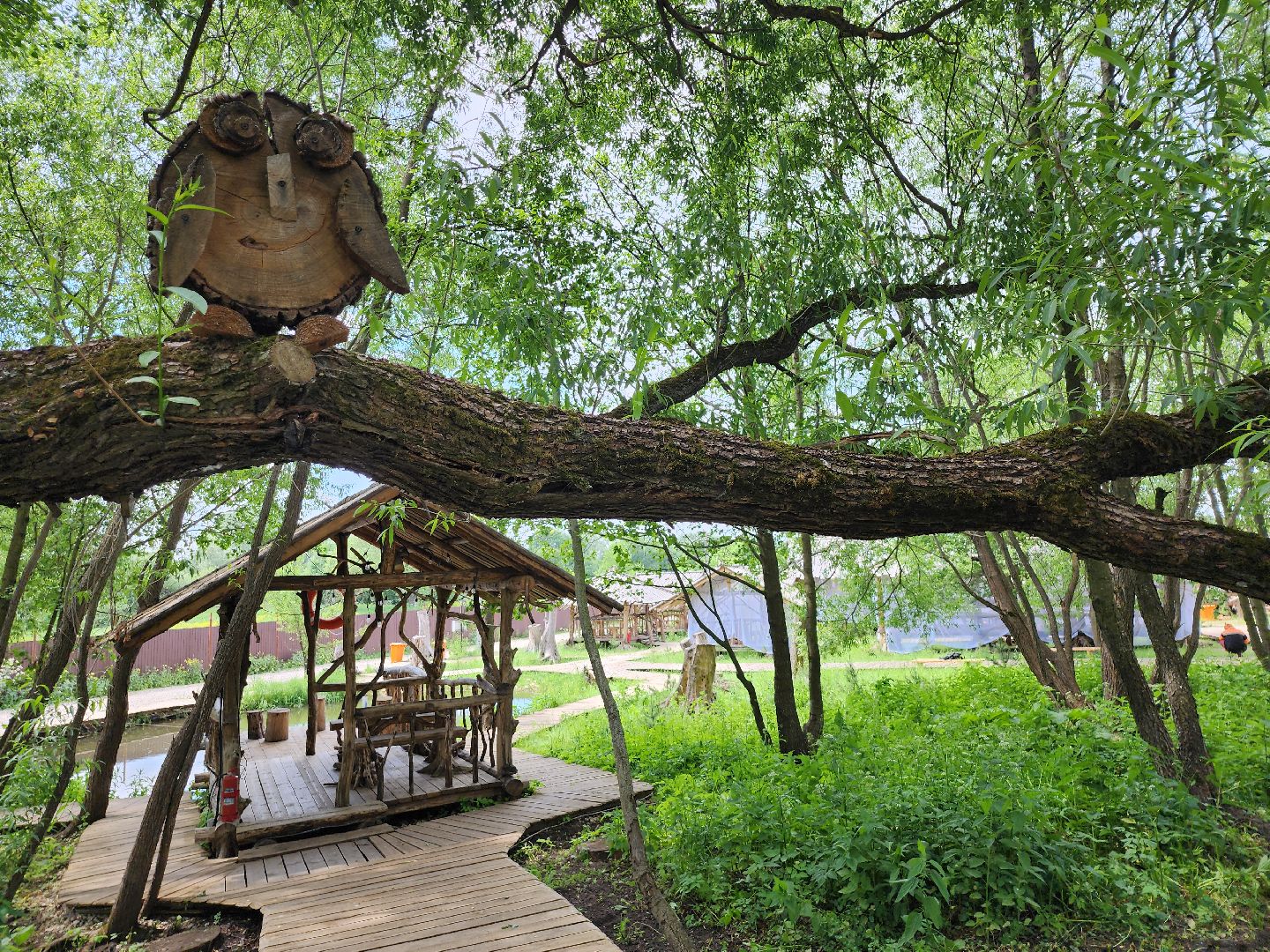 серпухов, подмосковье, агрокомплекс, верблюды,