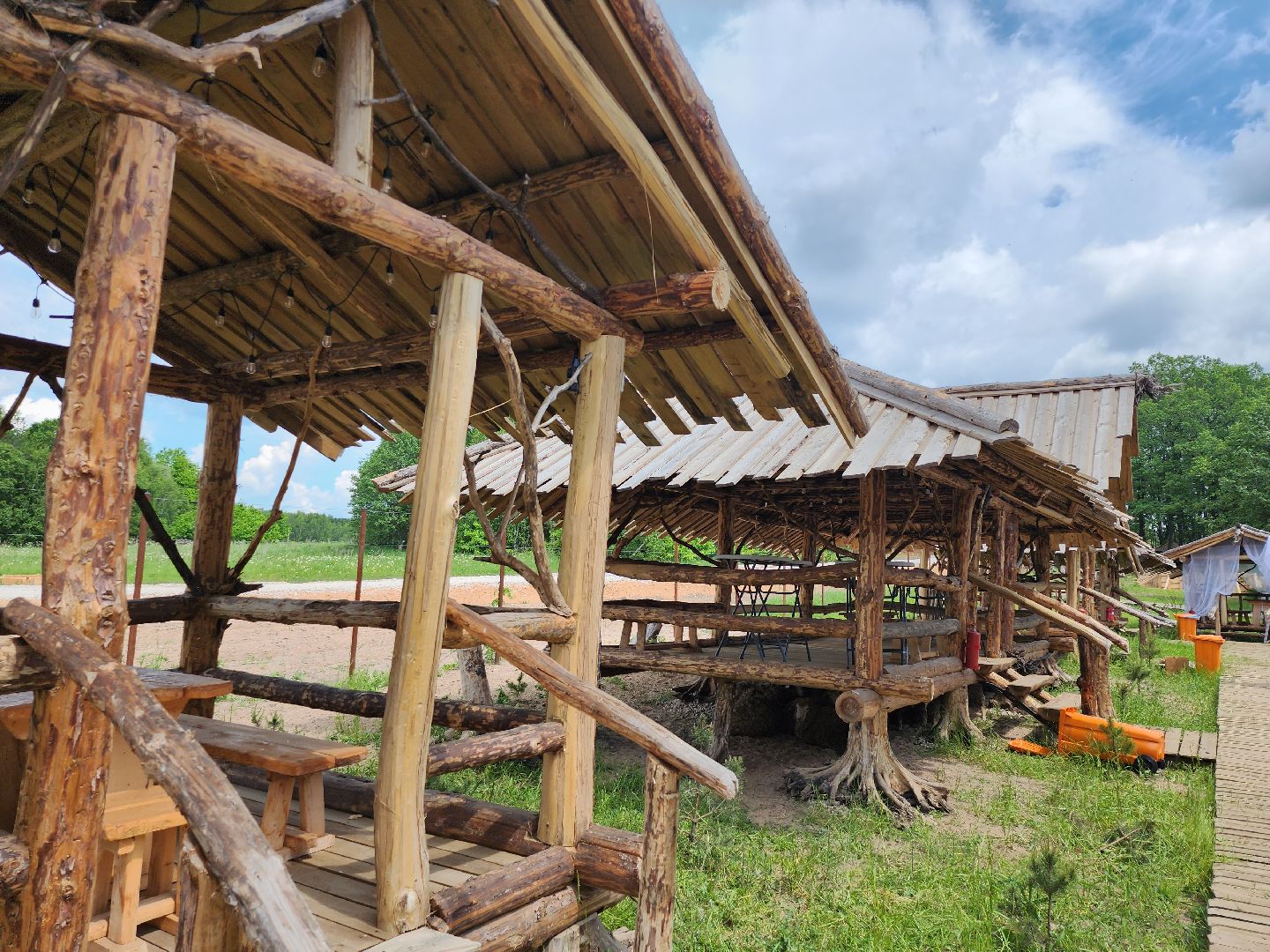 серпухов, подмосковье, агрокомплекс, верблюды,