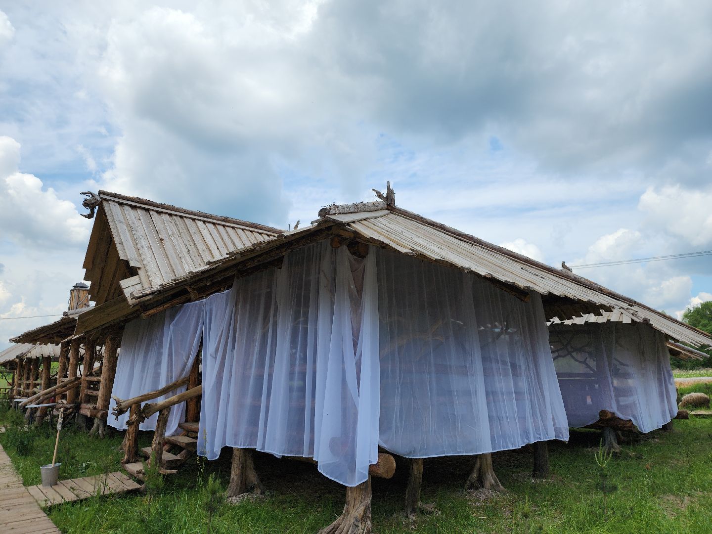 серпухов, подмосковье, агрокомплекс, верблюды,