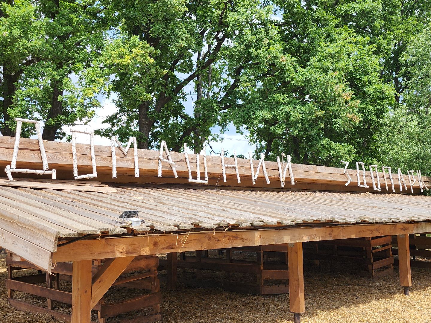 серпухов, подмосковье, агрокомплекс, верблюды,