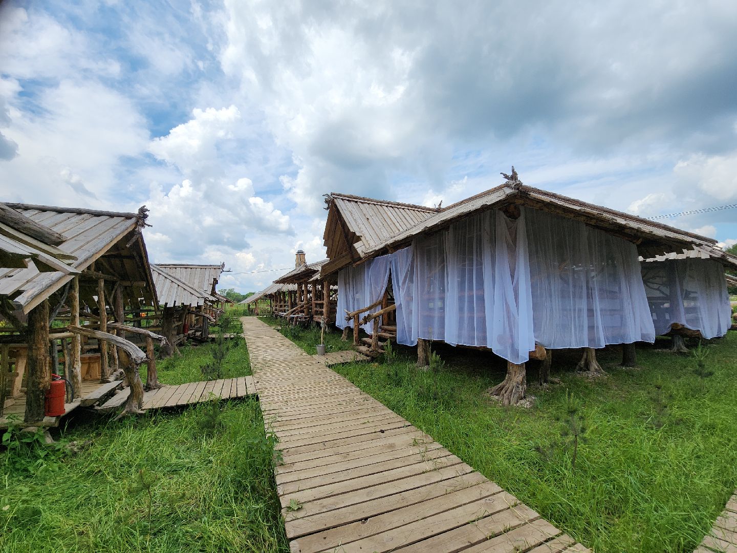 серпухов, подмосковье, агрокомплекс, верблюды,