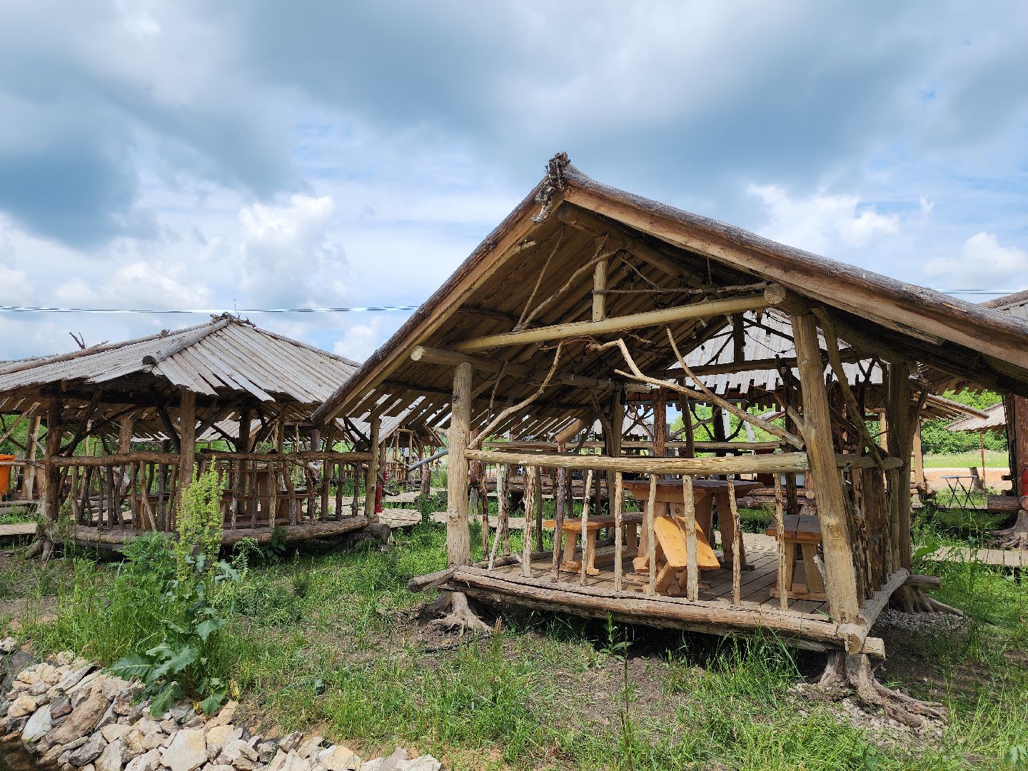 серпухов, подмосковье, агрокомплекс, верблюды,